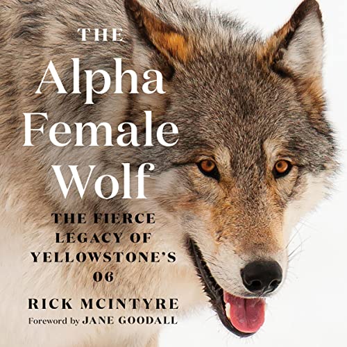 Cover of The Alpha Female Wolf