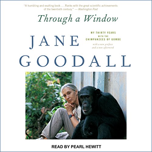 Cover of Through a Window