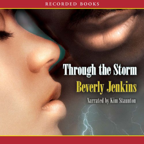 Cover of Through the Storm