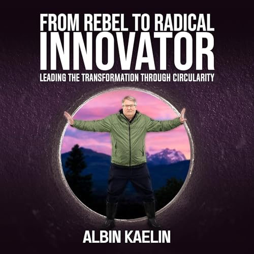 Cover of From Rebel to Radical Innovator
