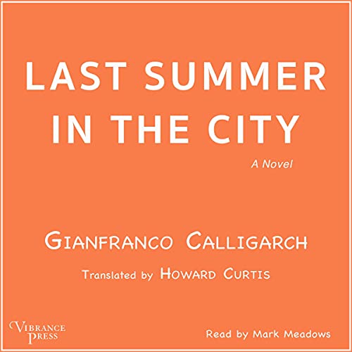 Cover of Last Summer in the City