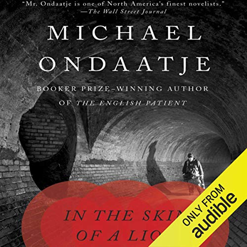 Cover of In the Skin of a Lion