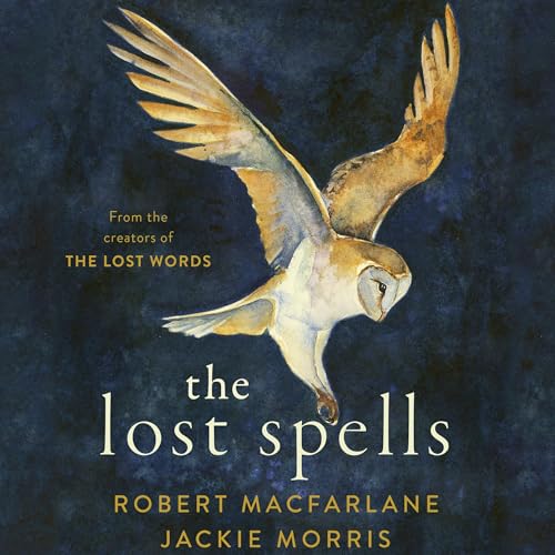 Cover of The Lost Spells