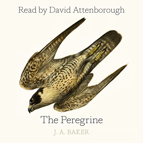 Cover of The Peregrine