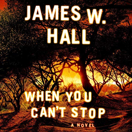 Cover of When You Can't Stop