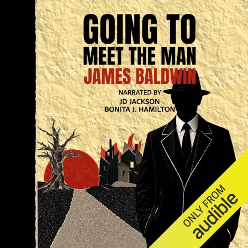 Cover of Going to Meet the Man