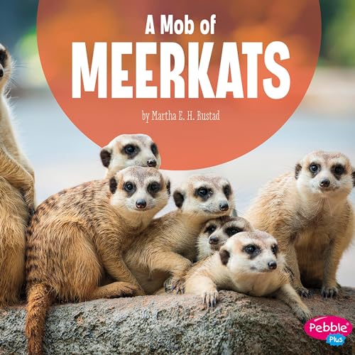 Cover of A Mob of Meerkats