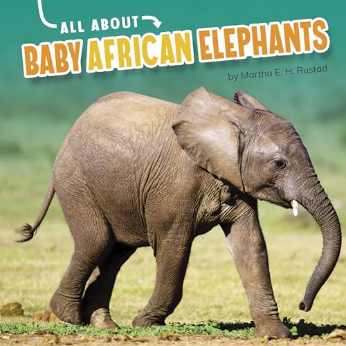 Cover of All about Baby African Elephants