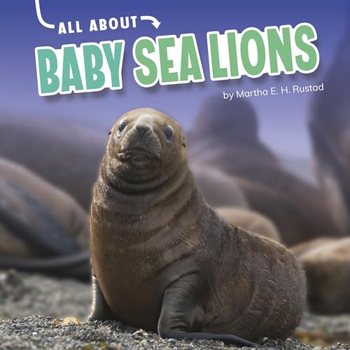 Cover of All About Baby Sea Lions