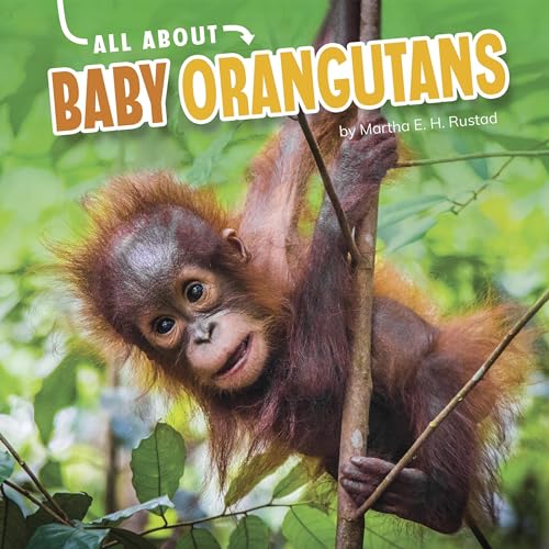 Cover of All About Baby Orangutans