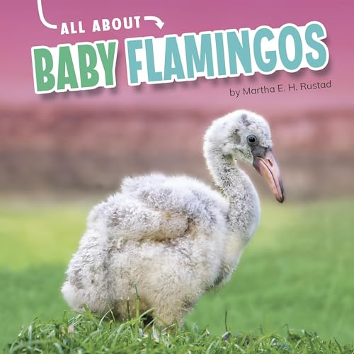 Cover of All About Baby Flamingos