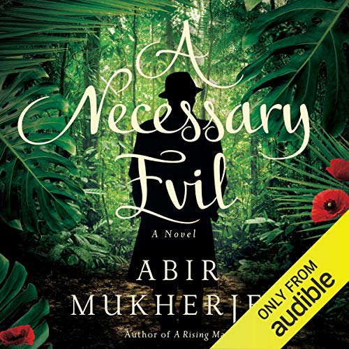 Cover of A Necessary Evil