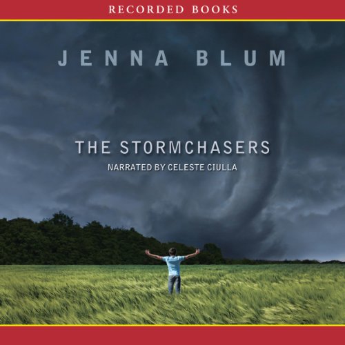 Cover of The Stormchasers