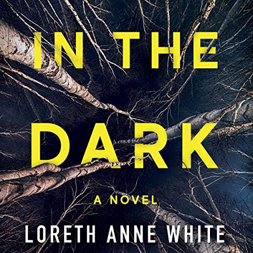 Cover of In the Dark