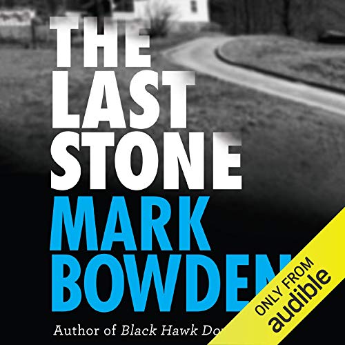 Cover of The Last Stone