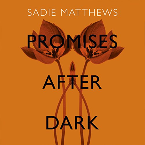 Cover of Promises After Dark