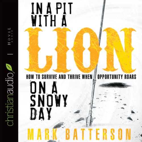 Cover of In a Pit With a Lion On a Snowy Day