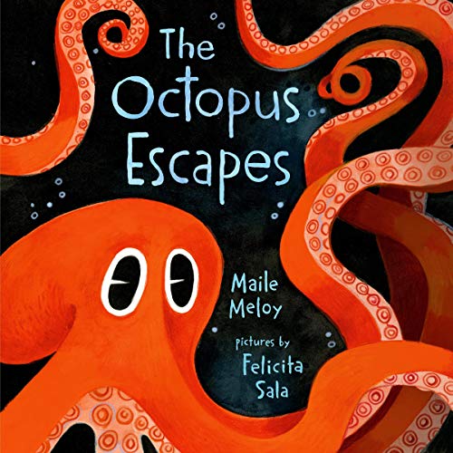 Cover of The Octopus Escapes