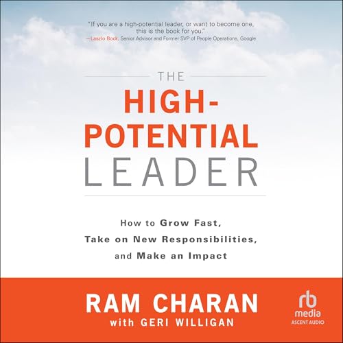 Cover of The High-Potential Leader
