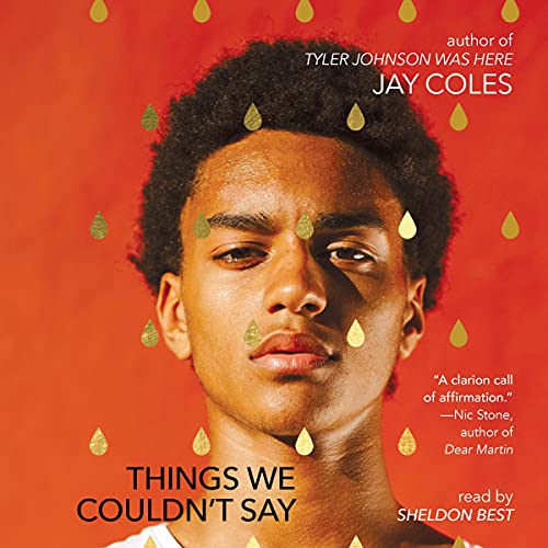 Cover of Things We Couldn't Say
