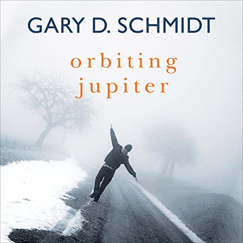Cover of Orbiting Jupiter