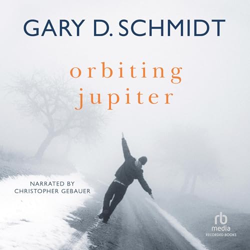 Cover of Orbiting Jupiter