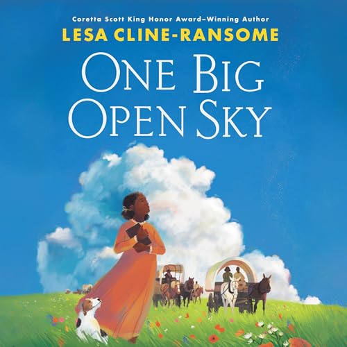 Cover of One Big Open Sky