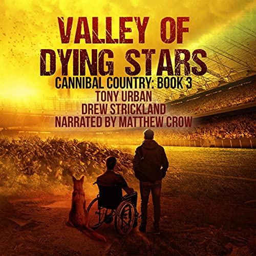 Cover of Valley of Dying Stars