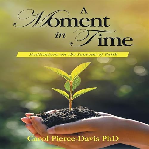 Cover of A Moment in Time