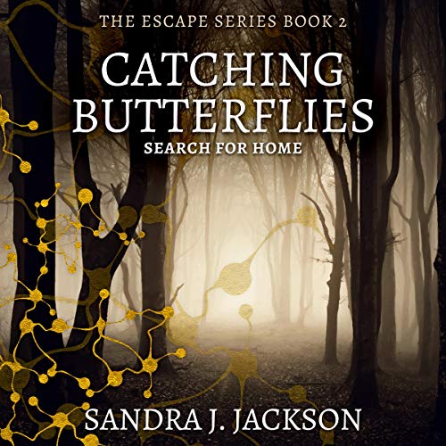 Cover of Catching Butterflies