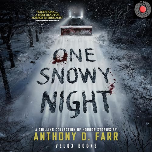 Cover of One Snowy Night