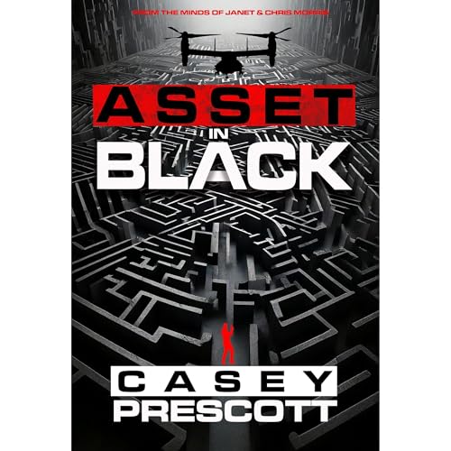 Cover of Asset in Black