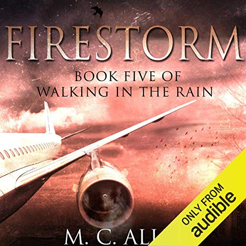 Cover of Firestorm