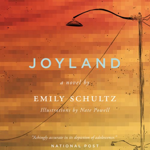 Cover of Joyland