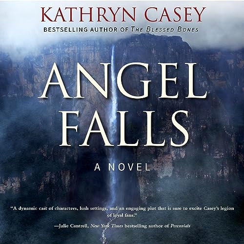 Cover of Angel Falls