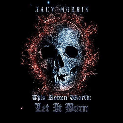 Cover of Let It Burn