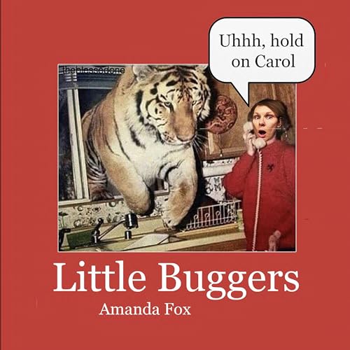 Cover of Little Buggers