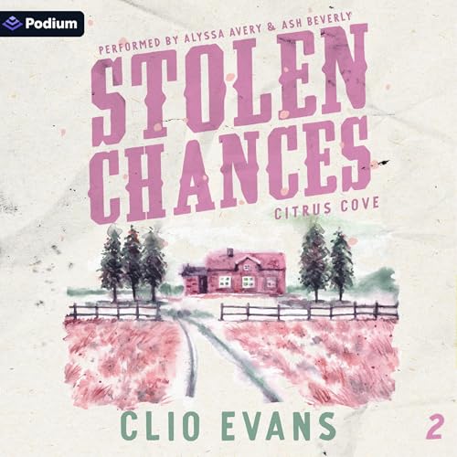 Cover of Stolen Chances