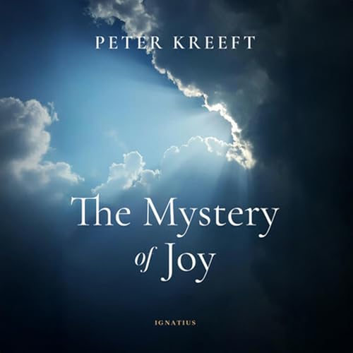 Cover of The Mystery of Joy
