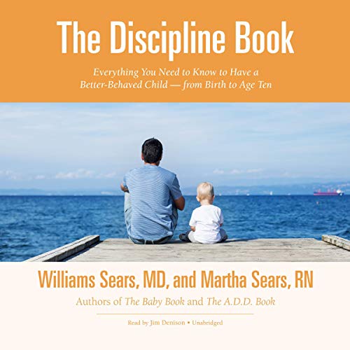 Cover of The Discipline Book
