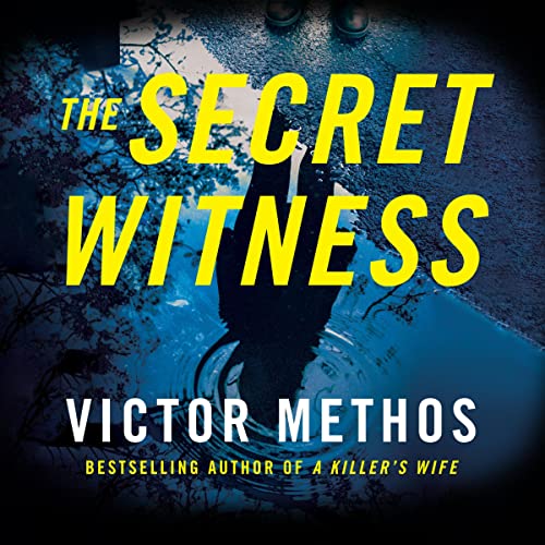Cover of The Secret Witness