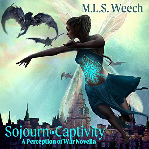 Cover of Sojourn in Captivity: A Perception of War Novella
