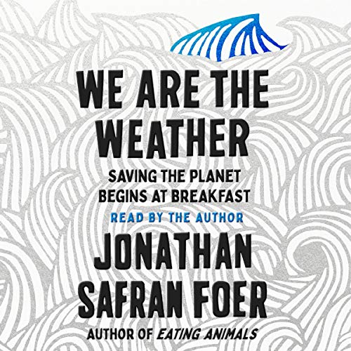 Cover of We Are the Weather