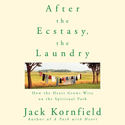 Cover of After the Ecstasy, the Laundry