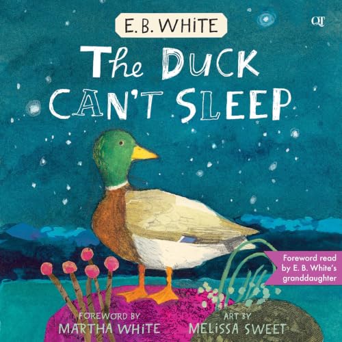 Cover of The Duck Can't Sleep