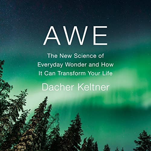 Cover of Awe