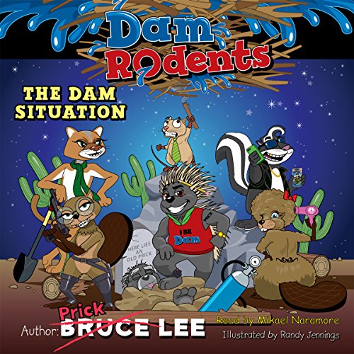 Cover of The Dam Situation