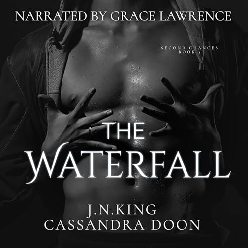 Cover of The Waterfall