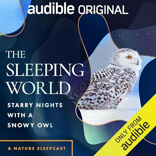 Cover of The Sleeping World: Starry Nights with a Snowy Owl