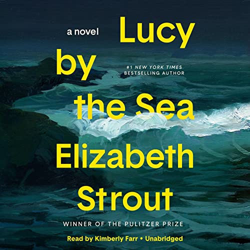 Cover of Lucy by the Sea